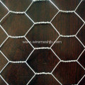 SS Hexagonal Wire Mesh